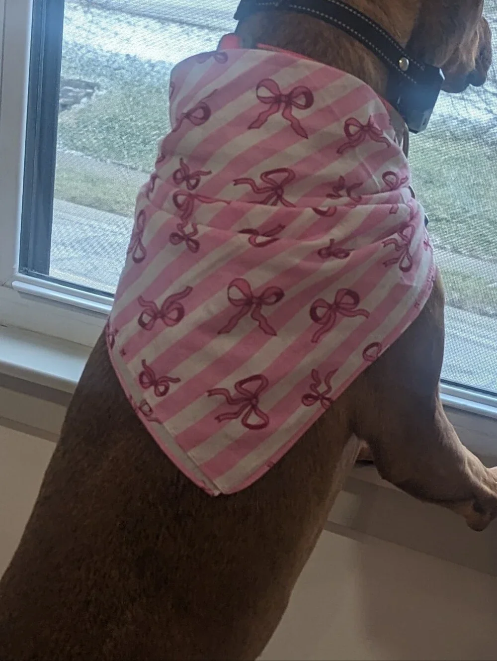 2 For $5 Item: Pink Stripes & Bows Dog Bandana NEW!